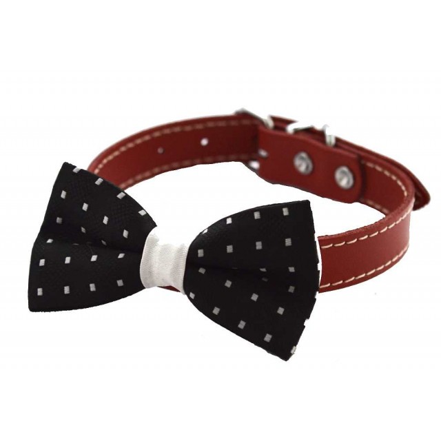 Papion catei negru c0001